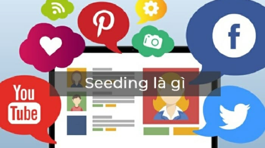 Seeding La Gi Trong Marketing